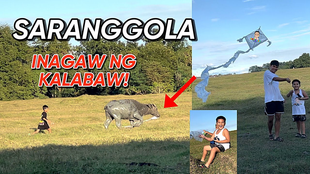 IYAK ANG BATA ! Inagaw ng kalabaw ang Saranggola! | ANDRAKE STORY