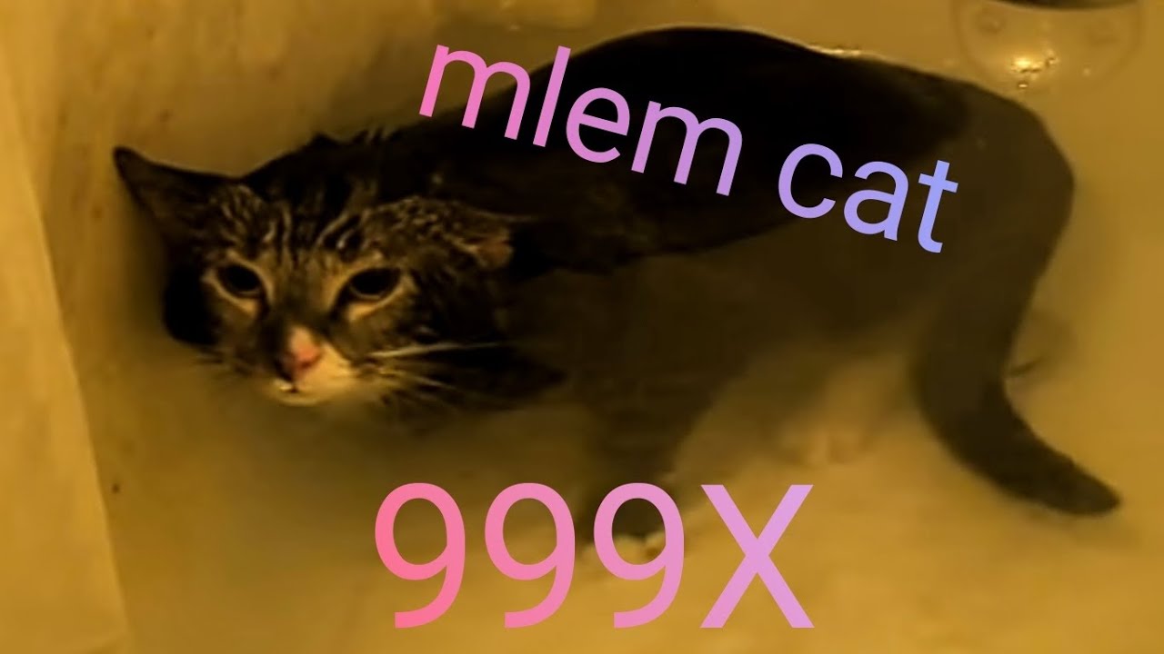 mlem cat 999x speed