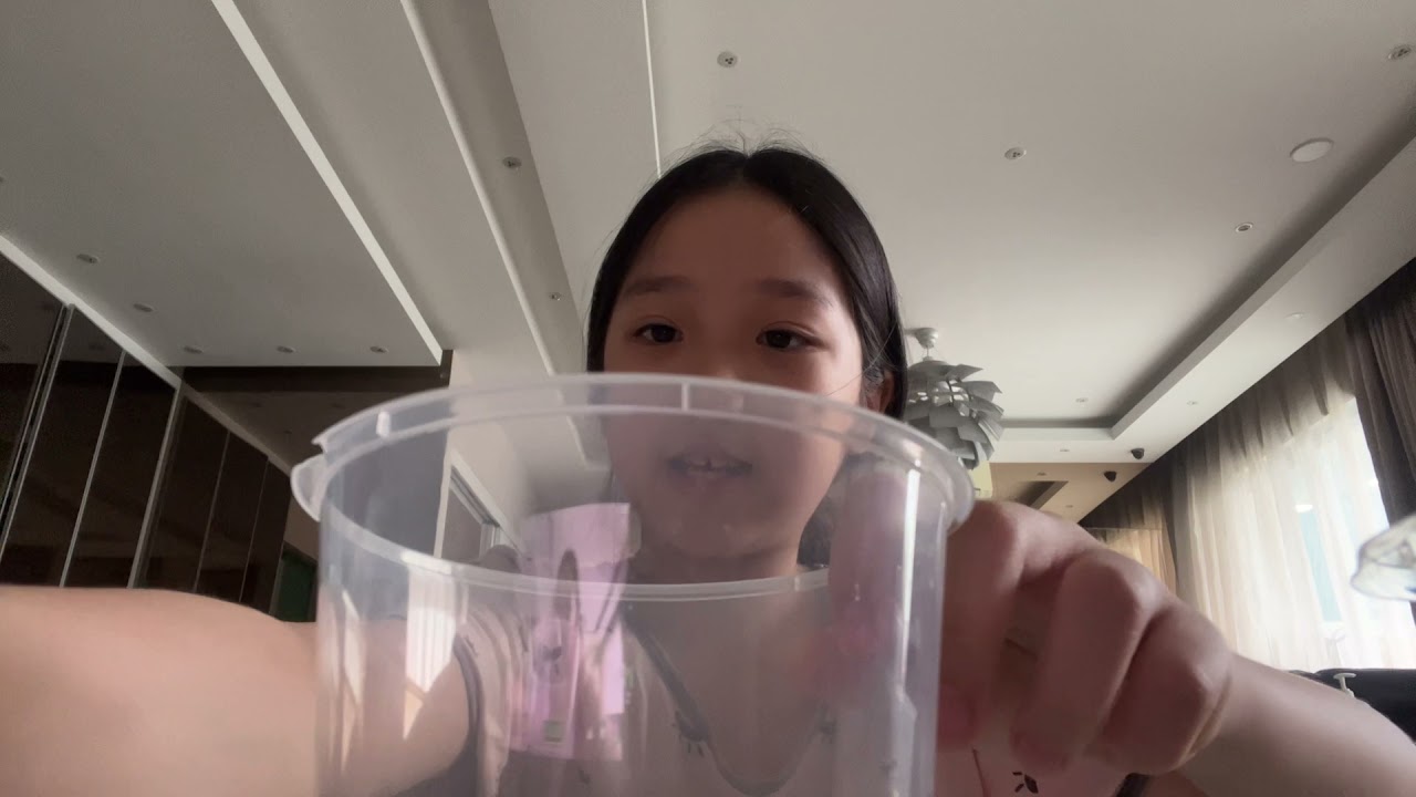 My hamster morning routine