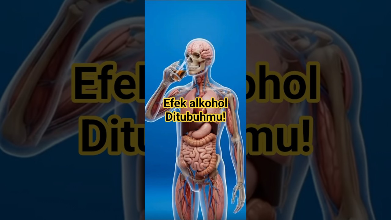 Baru Satu Tegukan… Ini yang Terjadi di Tubuh Saat Minum Alkohol  (Efeknya Nggak Sesederhana Mabuk!)