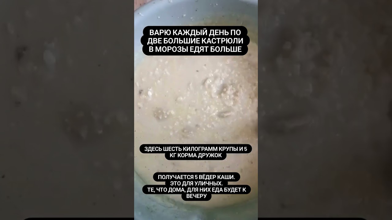 Наши будни.