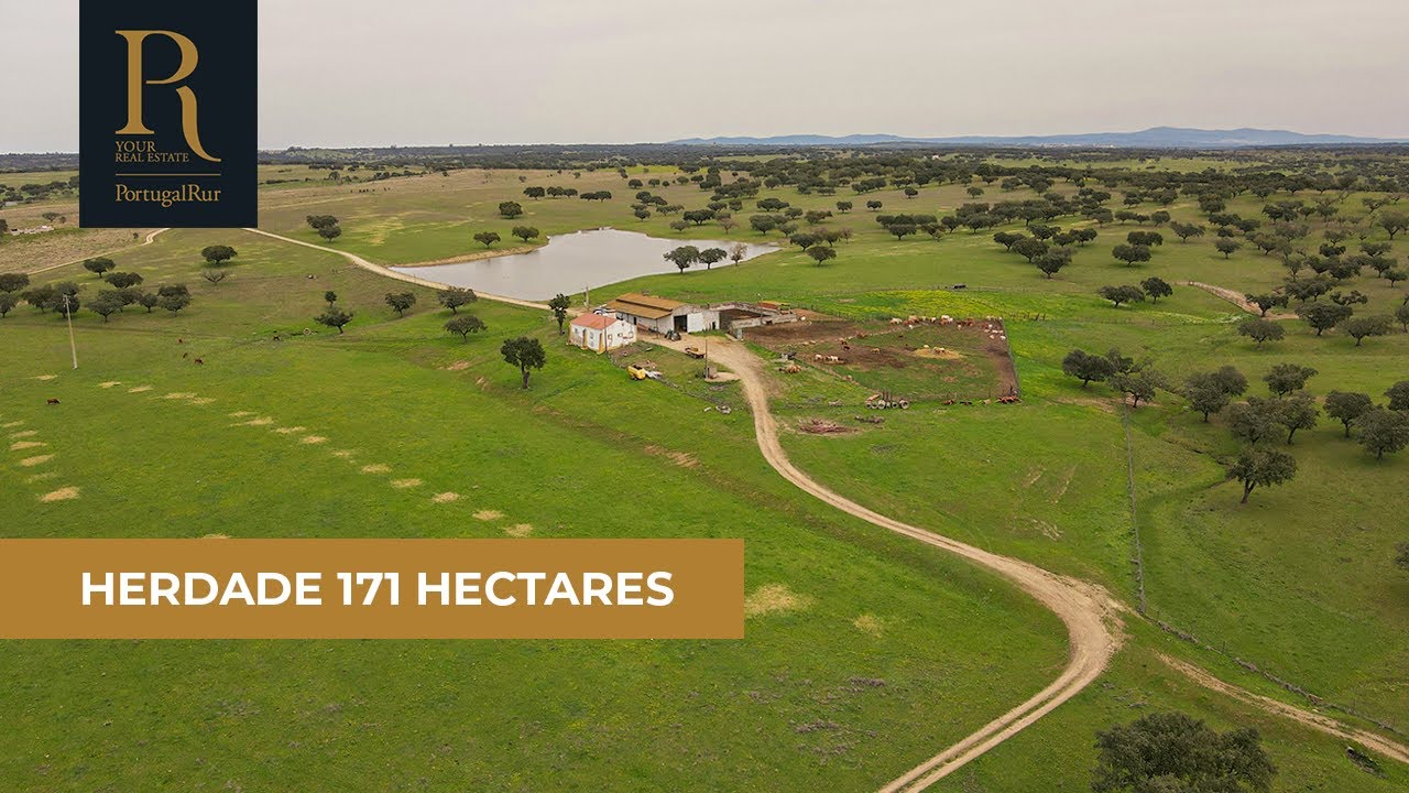 Herdade com 171 hectares para venda em Portalegre | REF. 600