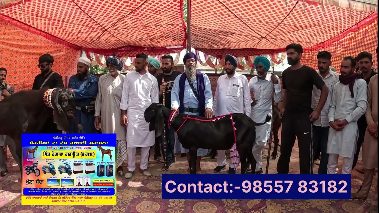 ਬੱਕਰੀਆਂ ਦੀ ਦੁੱਧ ਚੁਆਈ ਮੁਕਾਬਲਾ ਪਿੰਡਃ-ਨੋਗਾਵਾਂ ਮਿਤੀ 29-30-31 ਮਾਰਚ