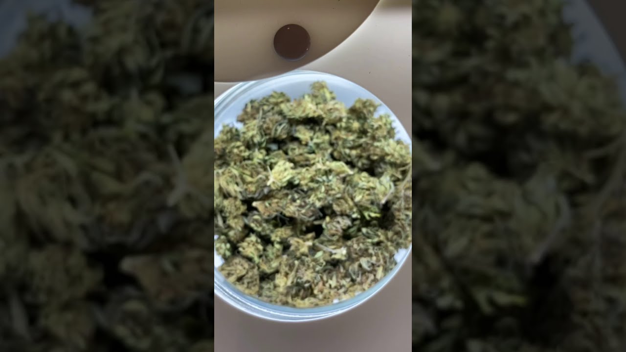 🌿 D&eacute;couvrez les Fleurs de CBD Watermelon cultiv&eacute;es en France 🍉🇫🇷