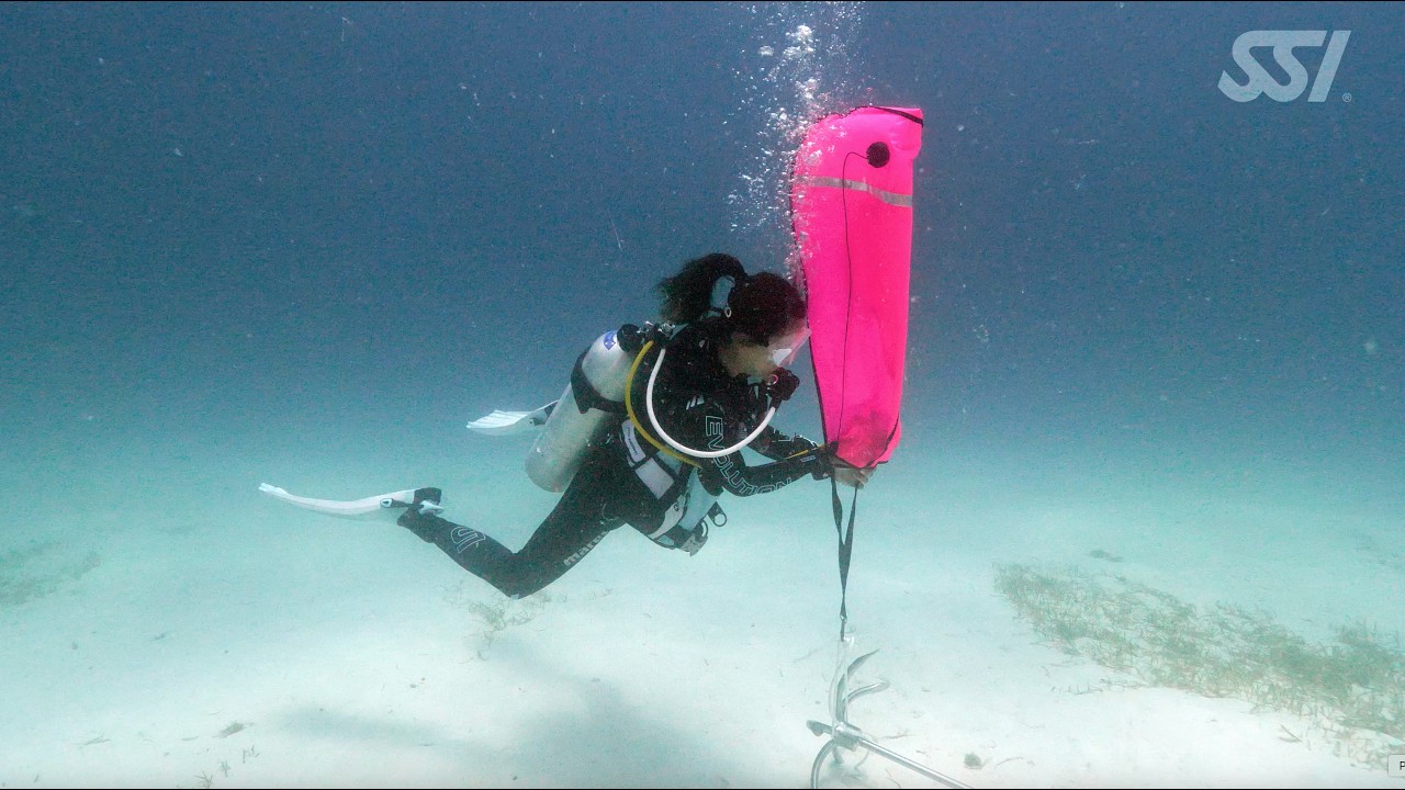 Search & Recovery Specialty | Master Underwater Search Techniques