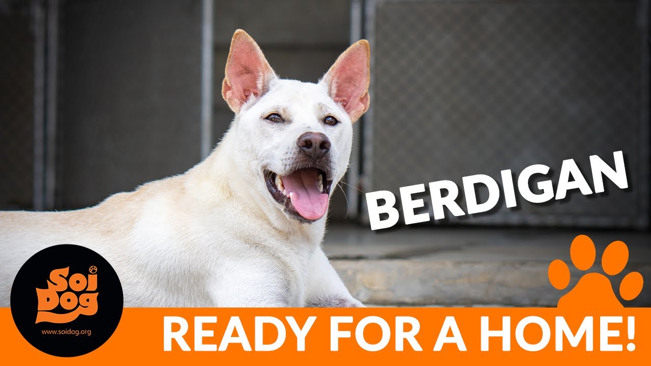 Wait until you see Berdigan's true personality shine!