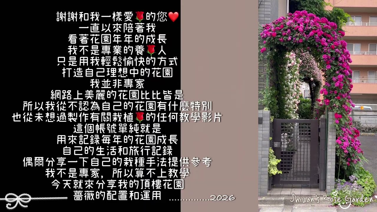 2026 頂樓玫瑰的造景配置運用