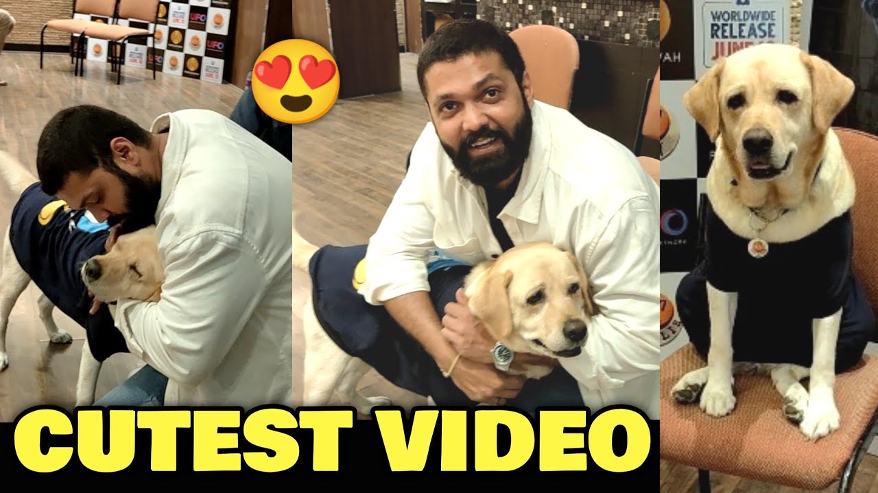 Rakshit Shetty CUTE Moment & Conversation With Dog Charlie | 777 Charlie Mumbai Press Meet