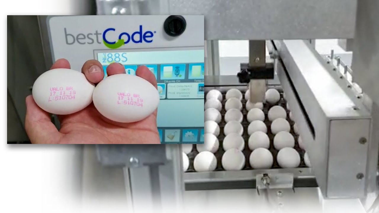 BestCode Model 88S High Speed Food Grade System
