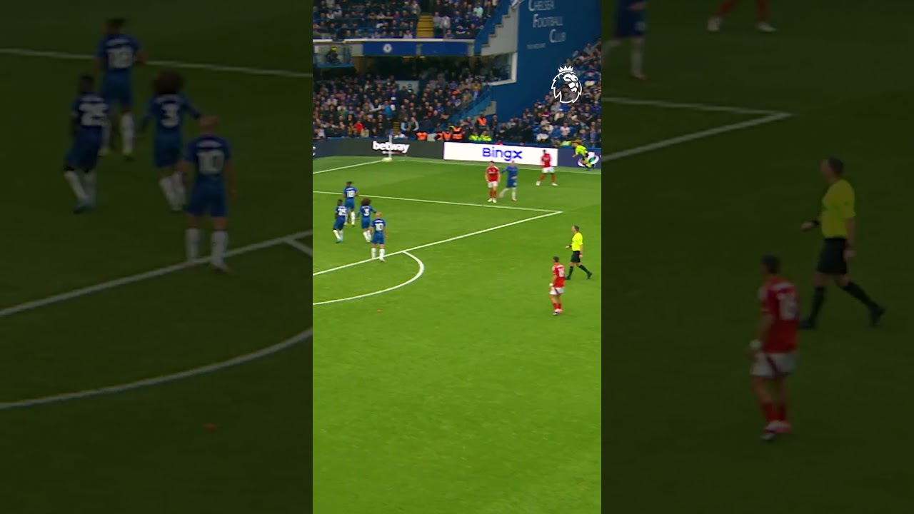 Sanchez's Incredible save ❌