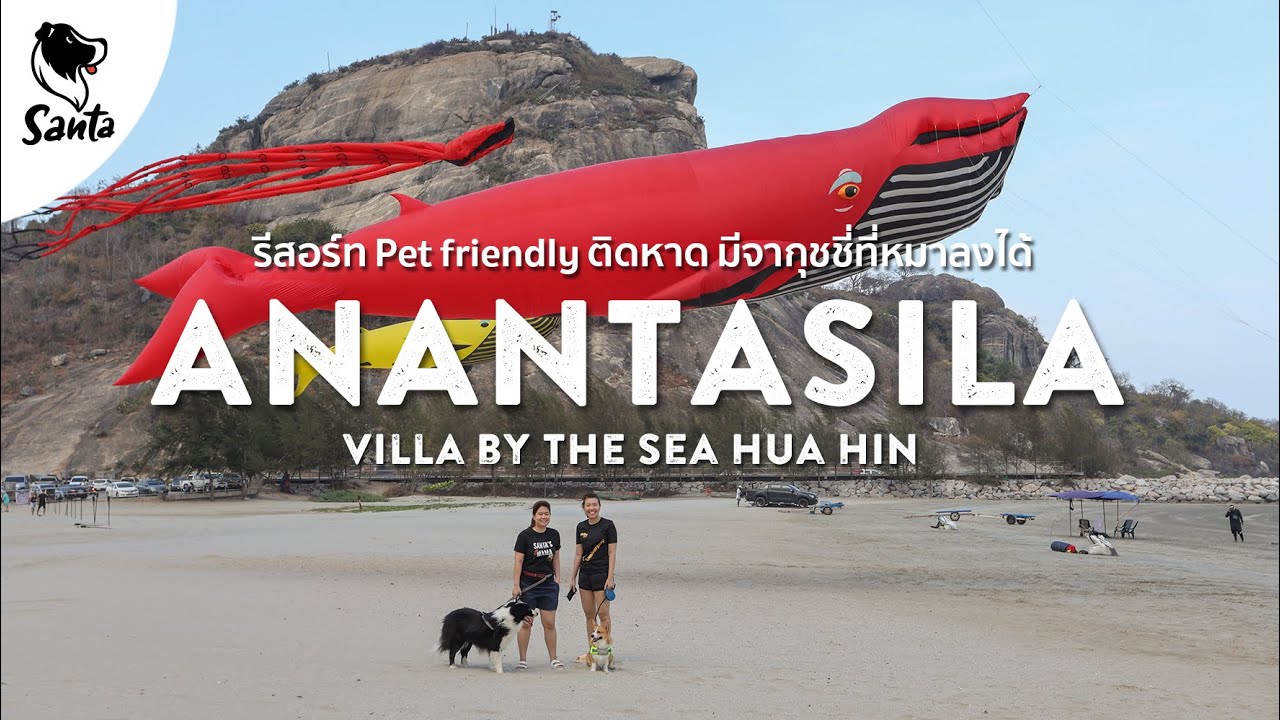 Anantasila หัวหิน รีสอร์ท Pet friendly ติดหาดห้องพักใหญ่มีจากุชชี่ที่หมาลงได้ | Santa Travel [Ep.10]