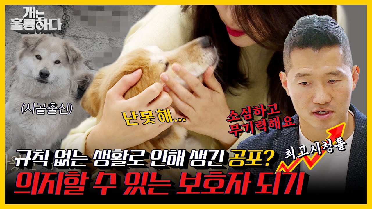 [#피크타임] ✨최고 분당 시청률✨ 무기력한 아롱이, 어쩌면 스스로 만들어낸 공포? | #개는훌륭하다 | KBS 211206 방송