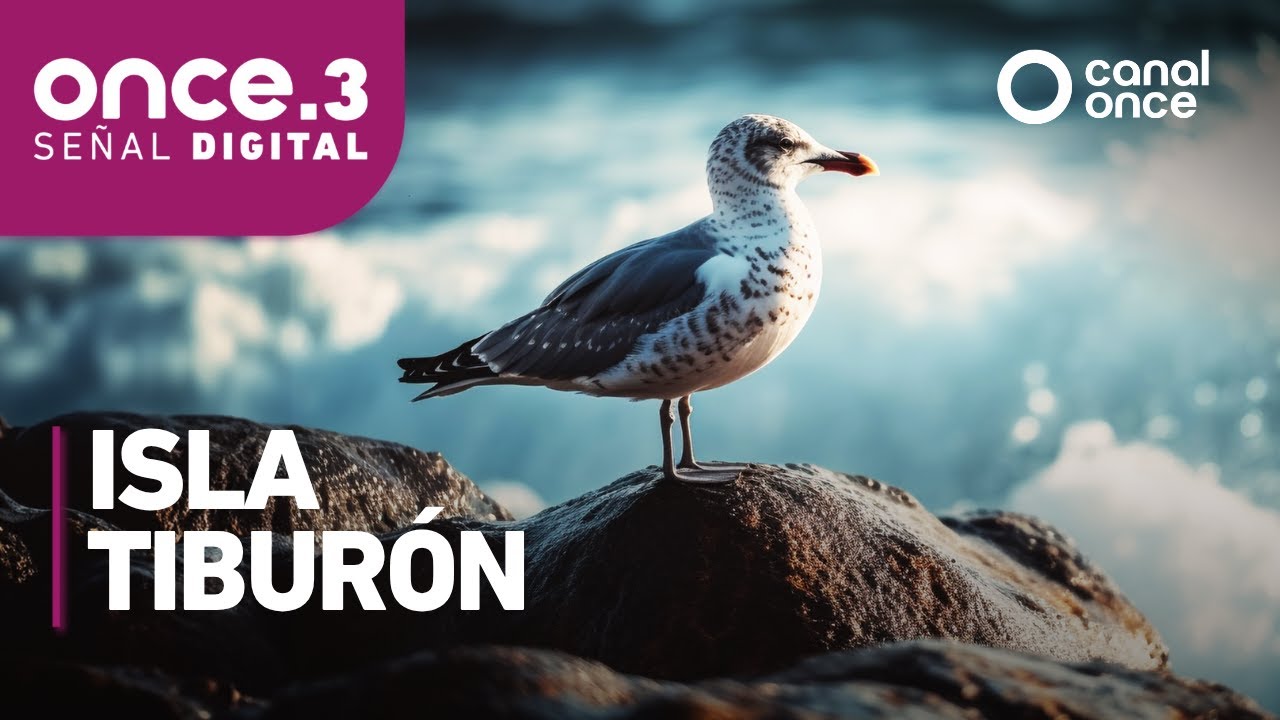 Islas de México - Isla Tiburón