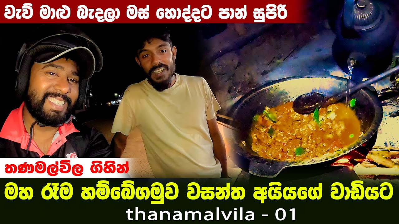 තණමල්විල ගිහින් මහ රෑම හම්බේගම වසන්ත අයියගේ වාඩියට| @IslandFishing2 @WasanthaAiya  🐘🌾| vlog 01