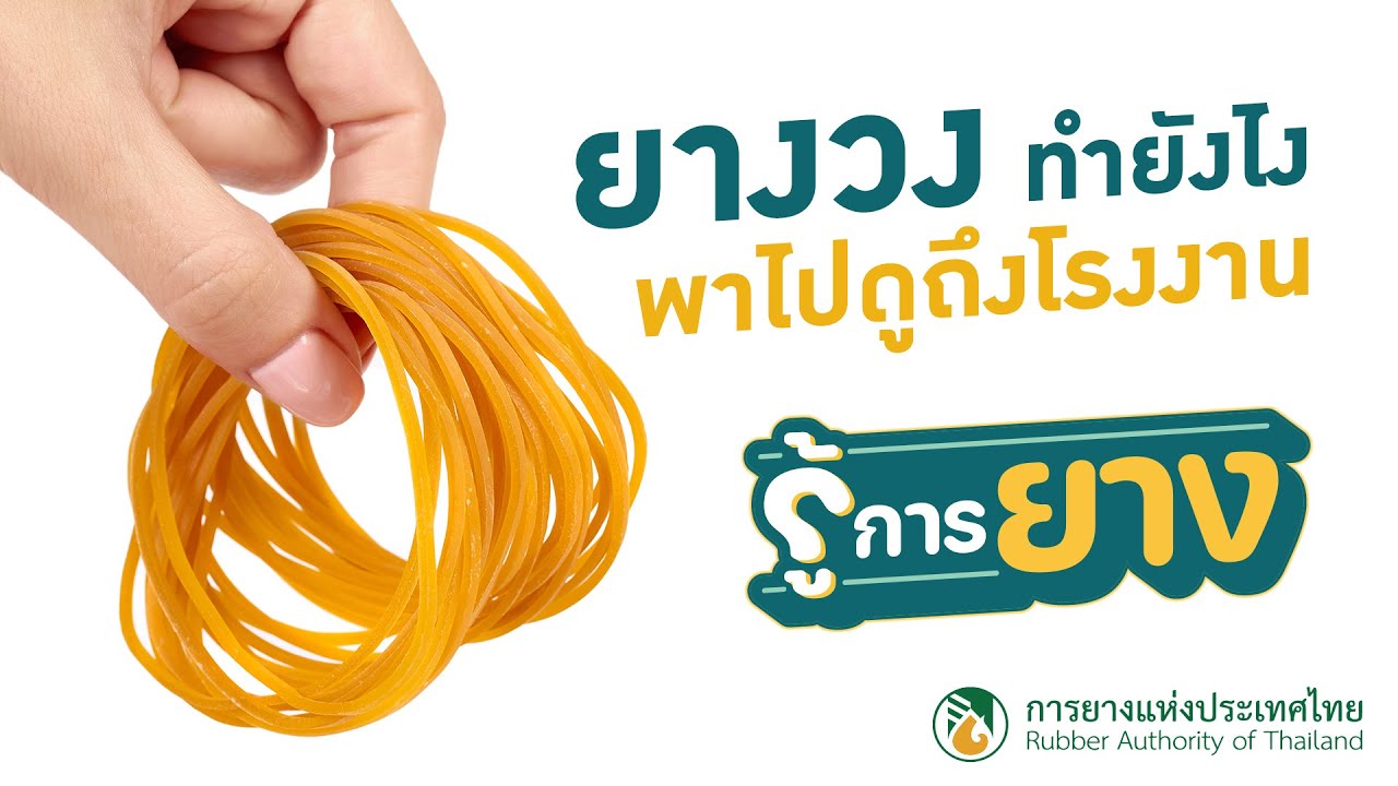 ยางวงผลิตยังไง? พาไปดูถึงโรงงาน : รู้การยาง Ep.01 ตอน 
