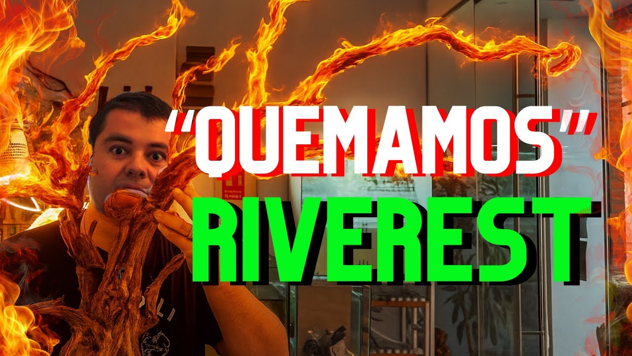 ¡VISITAMOS RIVEREST! NUEVAS ROCAS Y MADERAS PARA TUS ACUARIOS | ¿CUÁLES ALTERAN O NO PARÁMETROS?