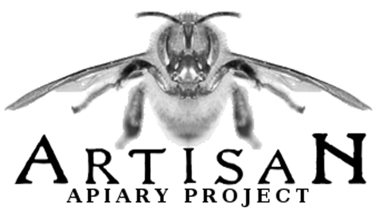 Day 229 of Beehive #2 - Winterizing the Hive - The Artisan Apiary Project