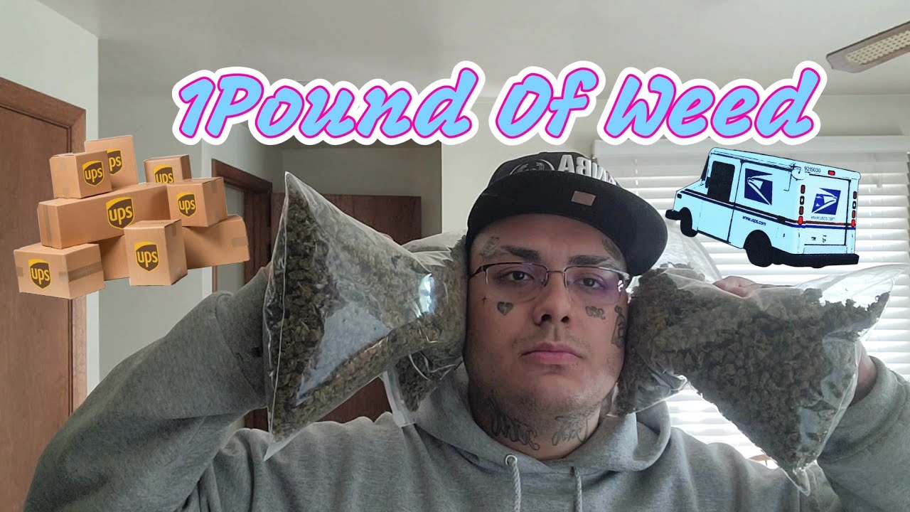 1 pound of weed Cbdhempdirect Haze Review