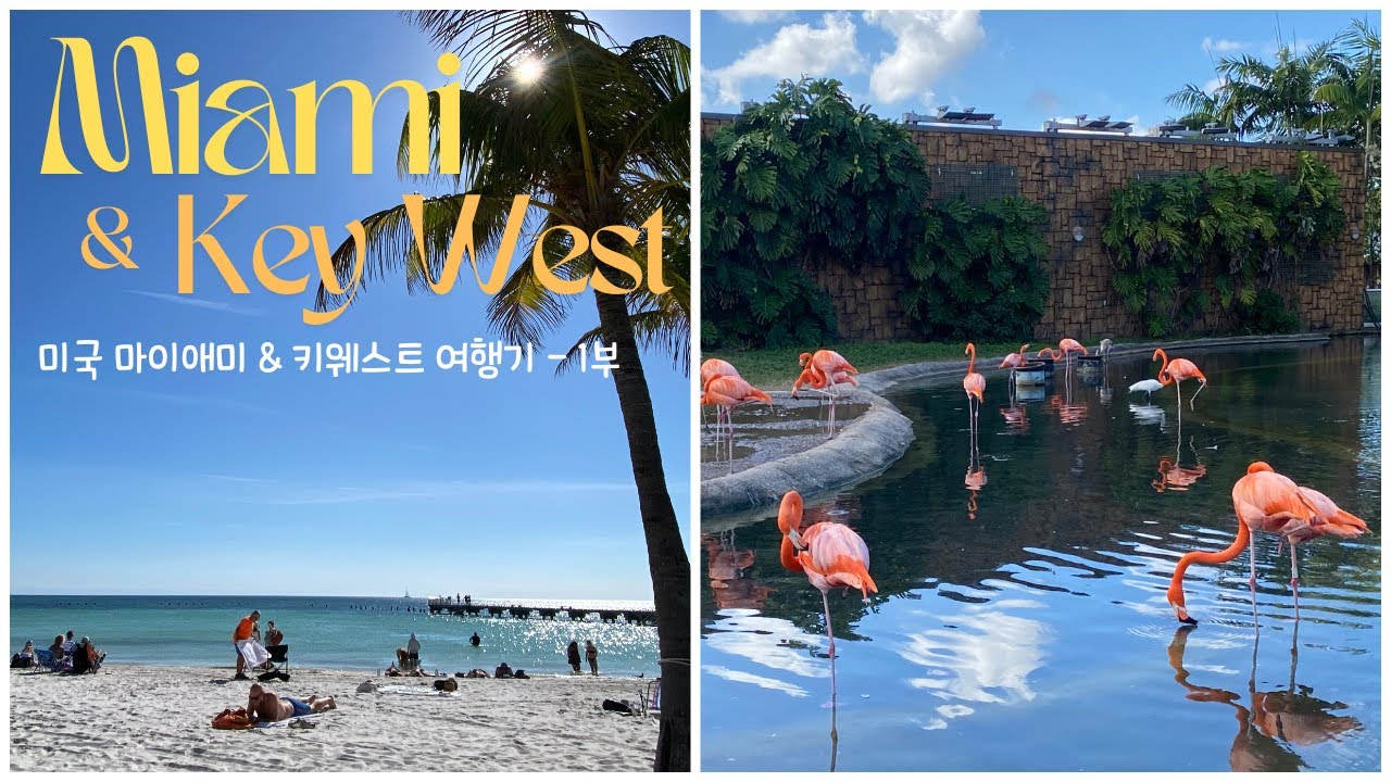 [ 마이애미 여행기 1부 ] Miami travelog ㅣ 가성비호텔 ㅣ 리틀하바나 ㅣ미국일상 l 미국여행 l 미국브이로그