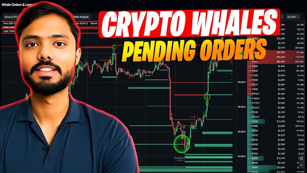 How to Track Crypto Whale Pending Orders in Real-Time!