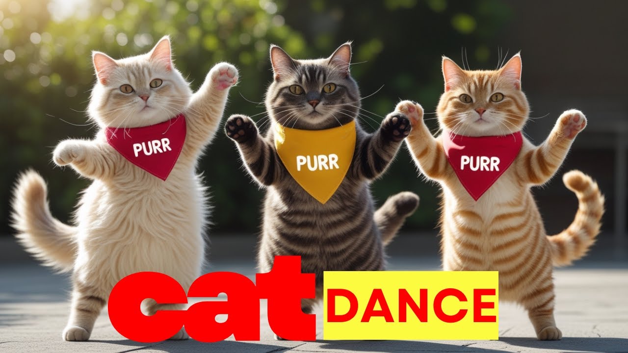 Cute Cat Dance Compilation - So Fun to Watch 🎵😸