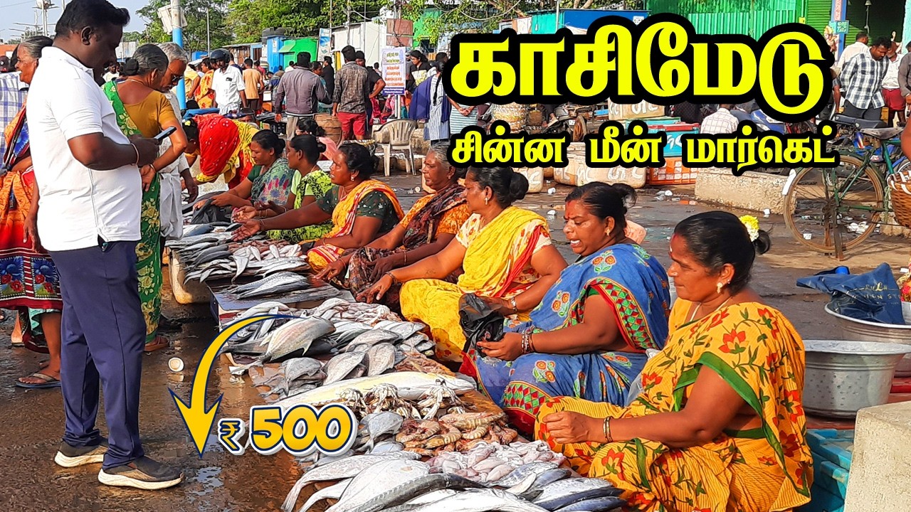 💥காசிமேடு மீன் மார்க்கெட் பாகம் 2|காசிமேடு சின்ன மார்க்கெட் #kasimedu #seafood #fish #vanagaram