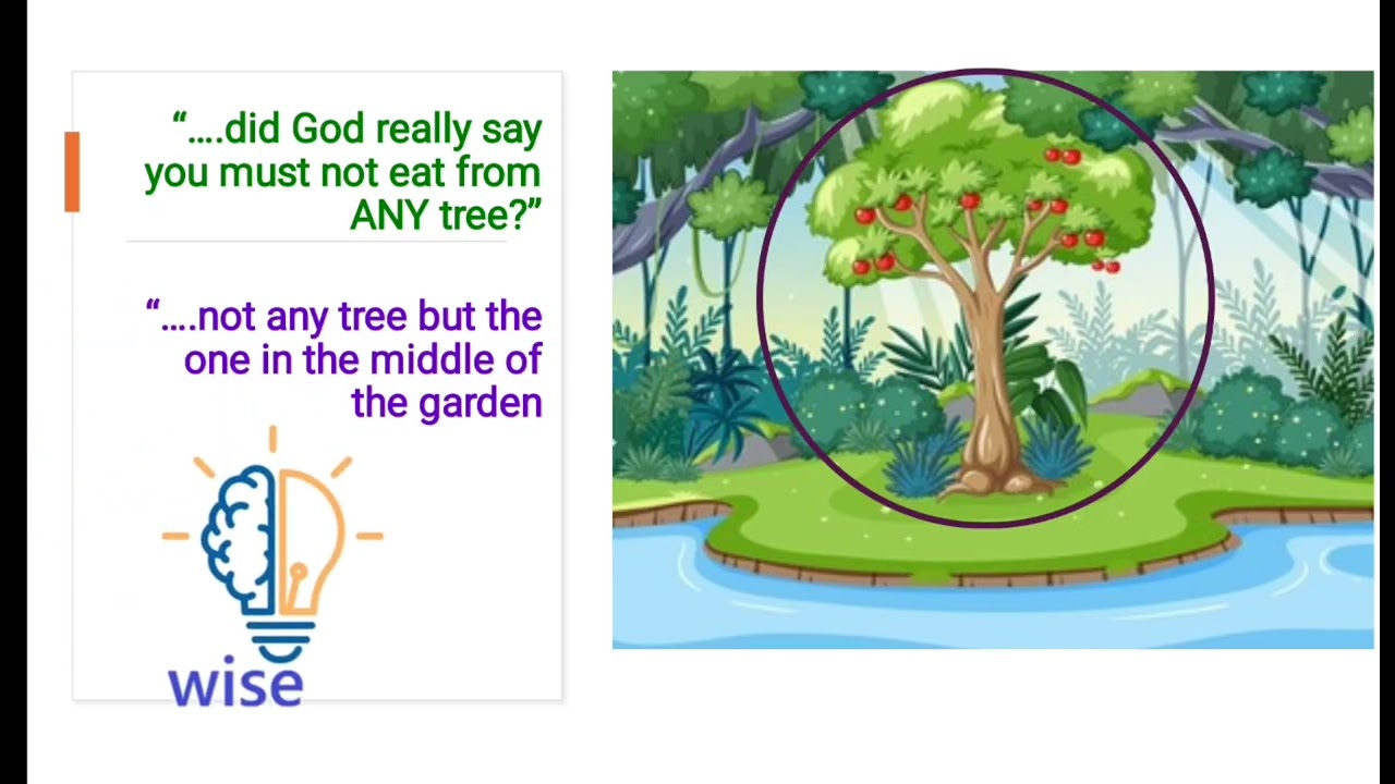 Test and Choice