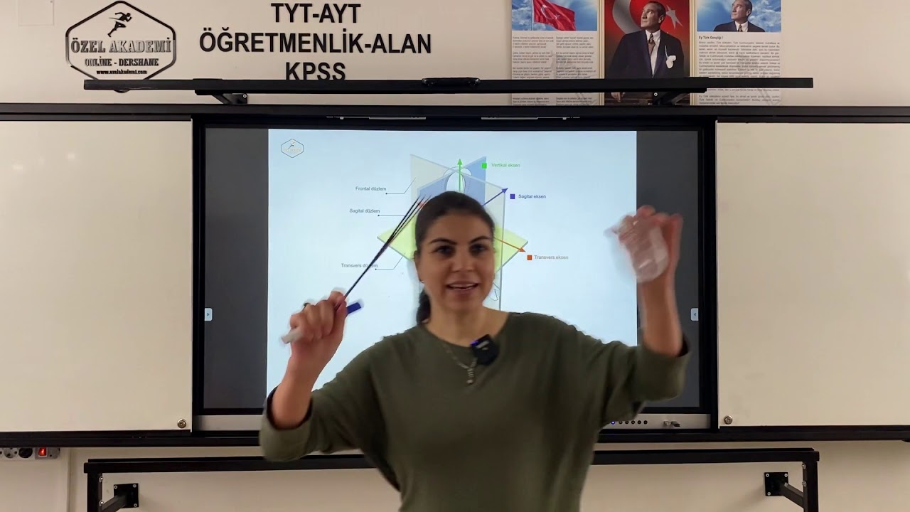Anatomi Eksenler ve düzlemler