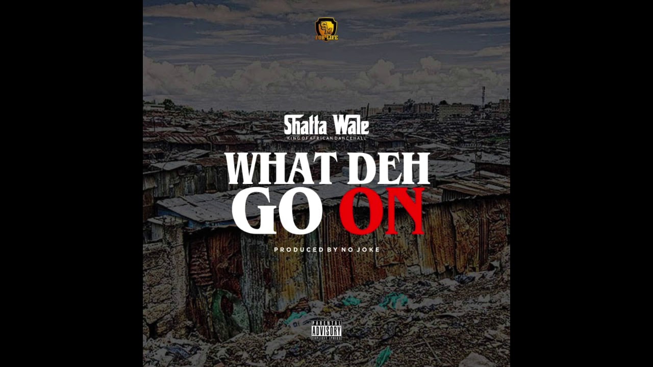 Shatta Wale - What Deh Go On (Audio Slide)