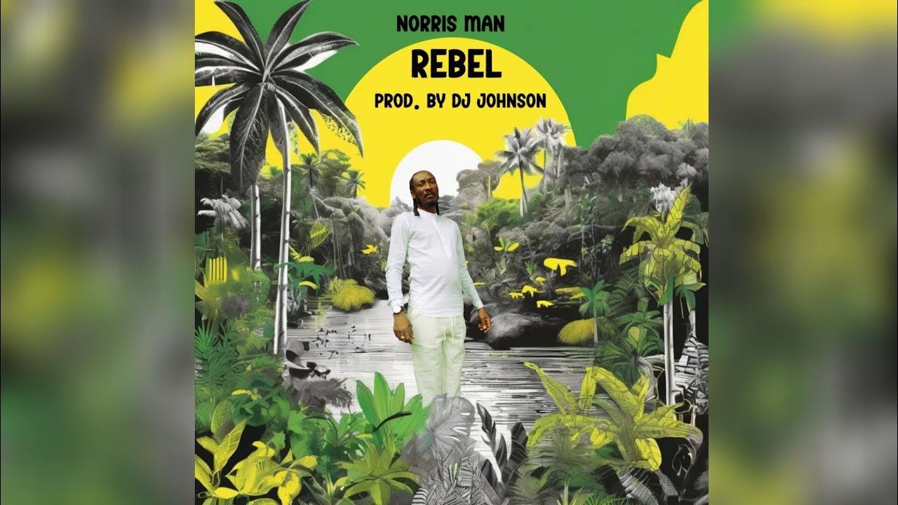 Norris Man - Rebel (New Reggae Music 2025) Promo By Ins Rastafari MixMaster (Skankin' Riddim)