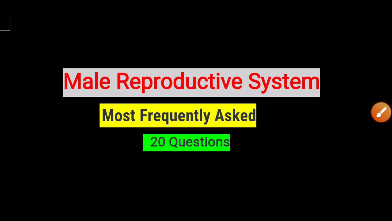 Male Reproductive System| frequently asked questions|Reproduction