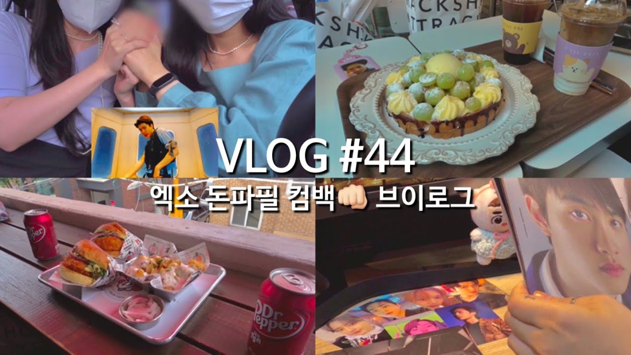 VLOG #44 l 1년 6개월만에 돌아온 엑소 컴백 브이로그😇  (돈파필 앨범 언박싱, 뮤비 리액션, 제스티살룬, New카몽 슈크림 와플, 포카깡 ) l Hirin 하이린
