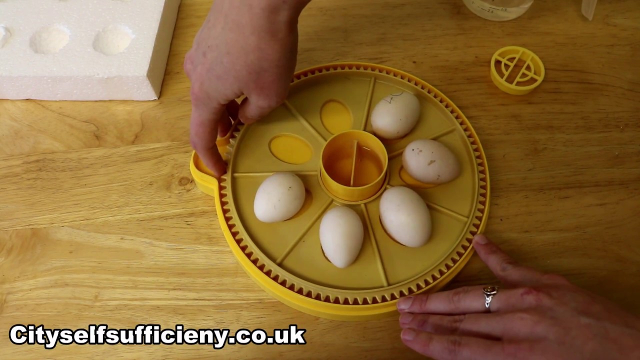 How to Set up a Brinsea Mini Advance to Hatch Bantam Eggs