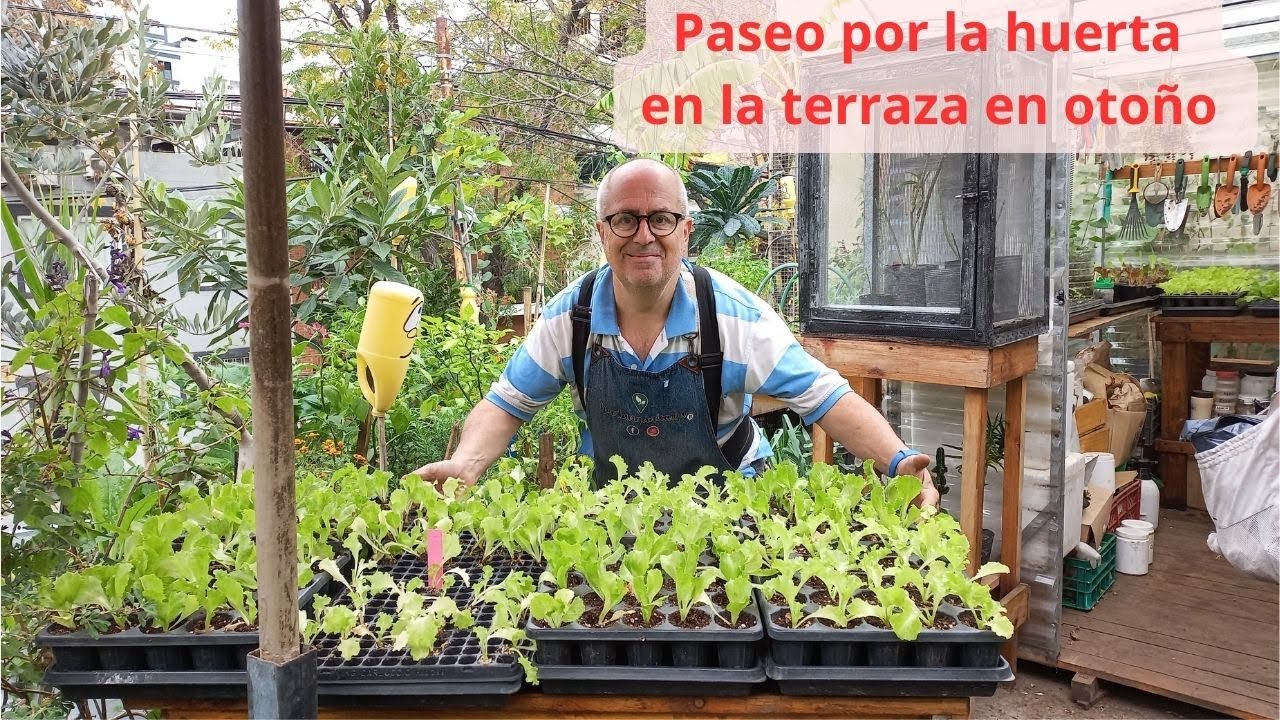 PASEO POR LA HUERTA DE OTOÑO  PARTE 2