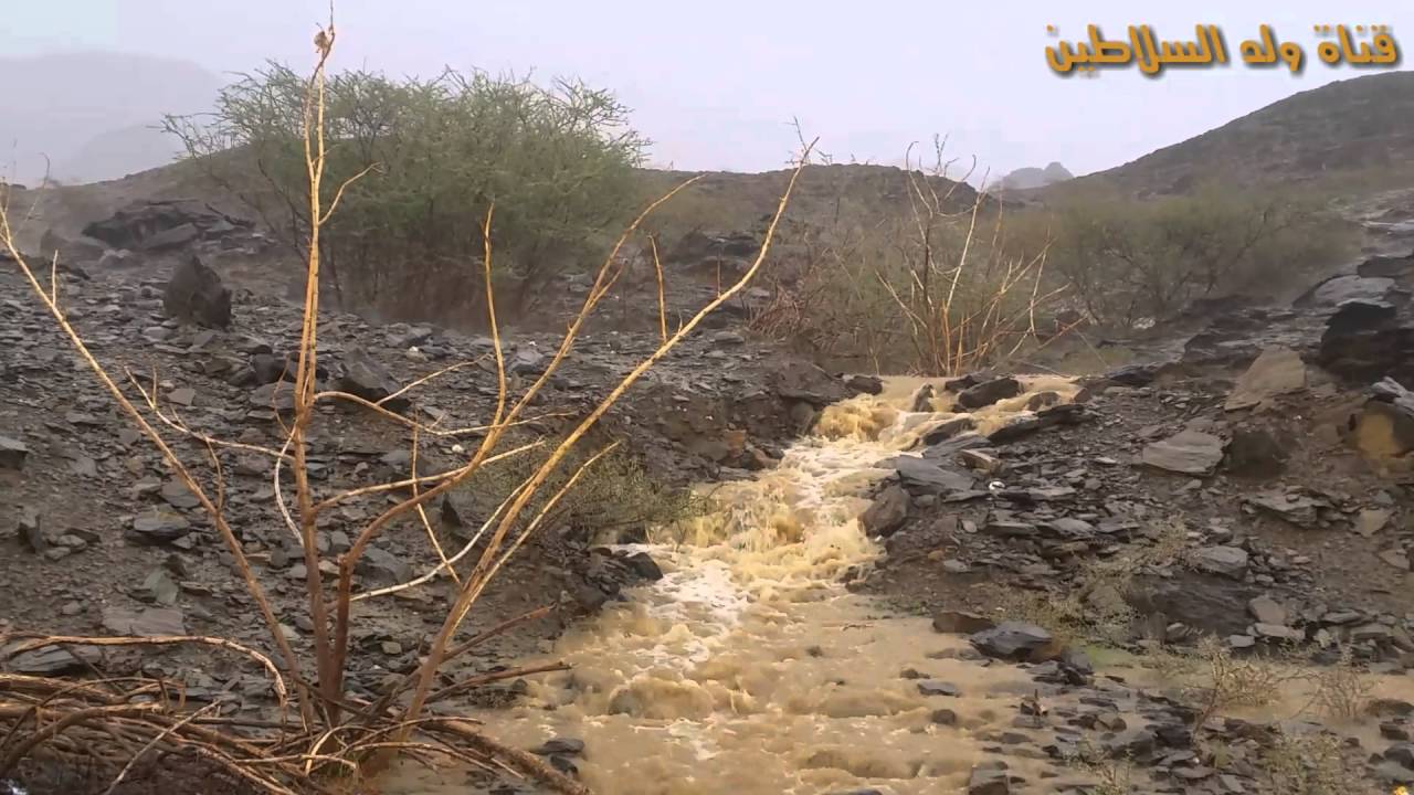 امطار وسيول شرق سبت الجاره