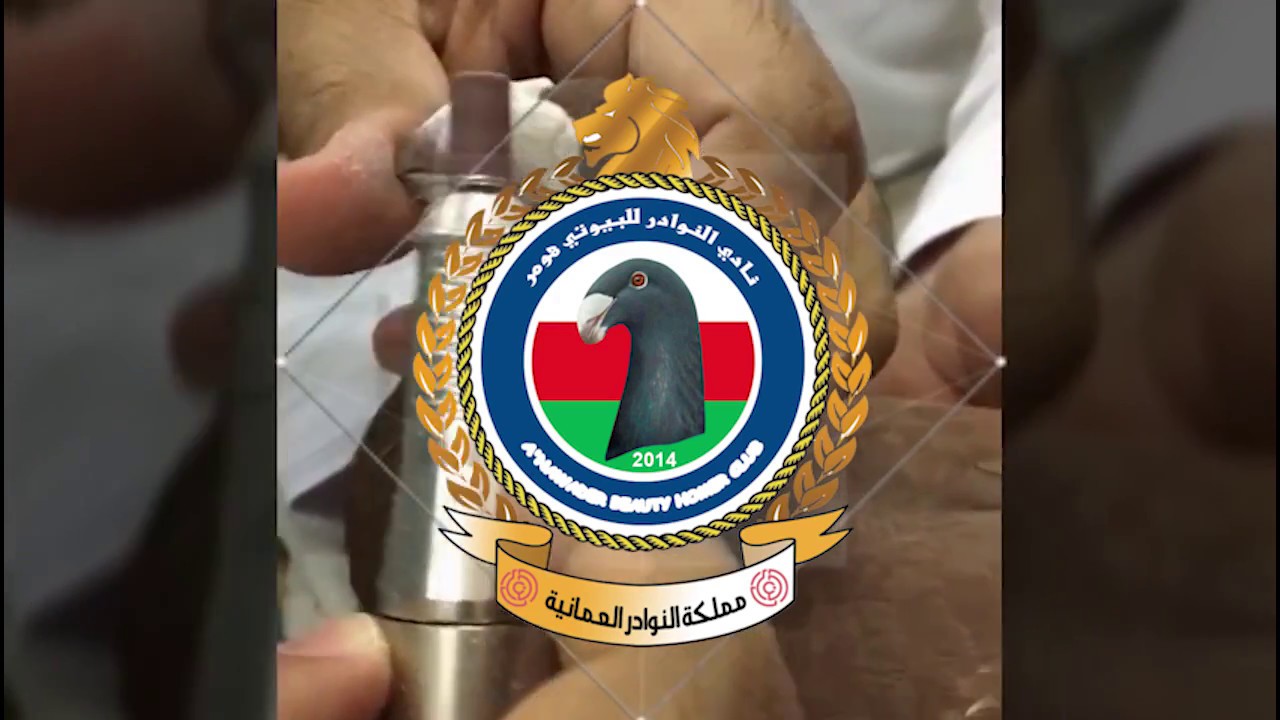 طريقة تجهيز طير بيوتي هومر