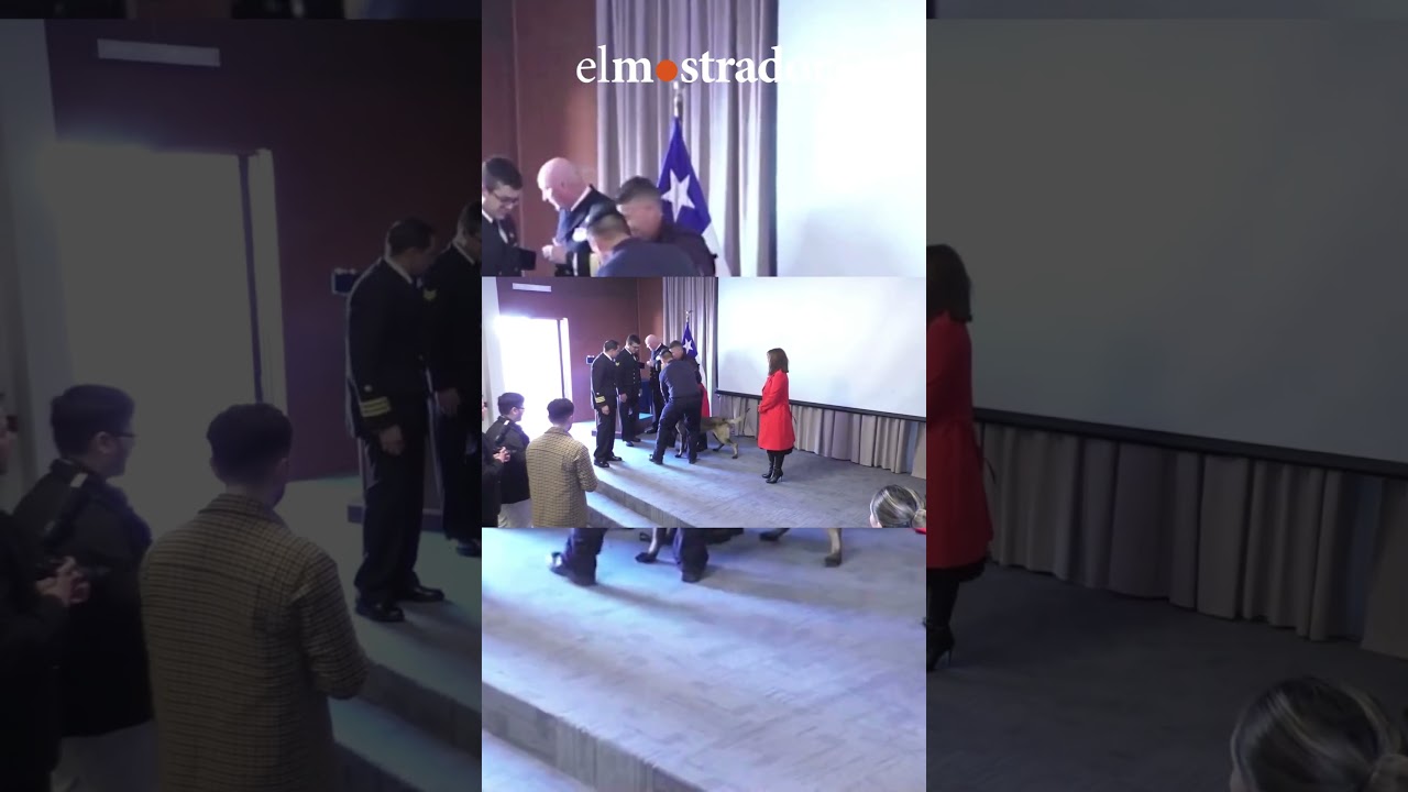 Perro antidrogas mordi&oacute; a un vicealmirante de la Armada durante ceremonia oficial