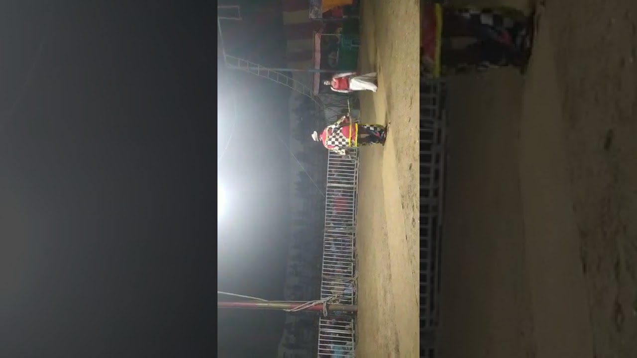 Circus dance popular Bangladesh