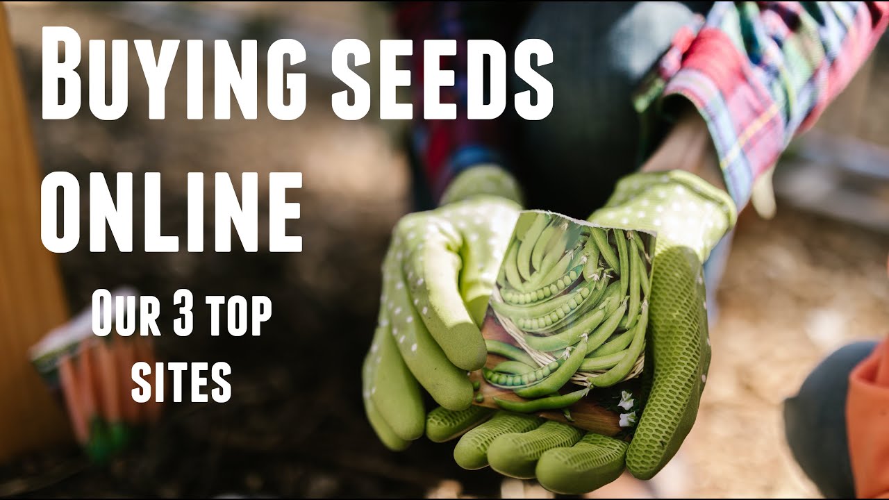 Best Place to Buy Seeds For Your Garden Online in 2022 - My Favorite Seed Companies