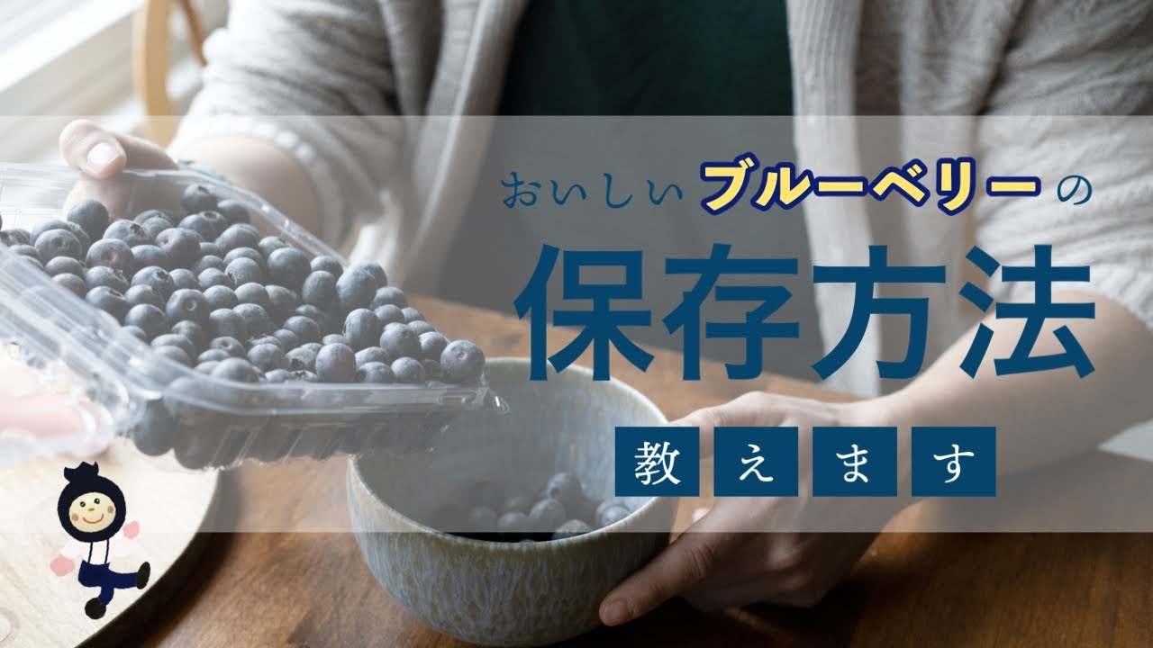 【ブルーベリー】長〜く、美味しく保存する方法ご紹介します