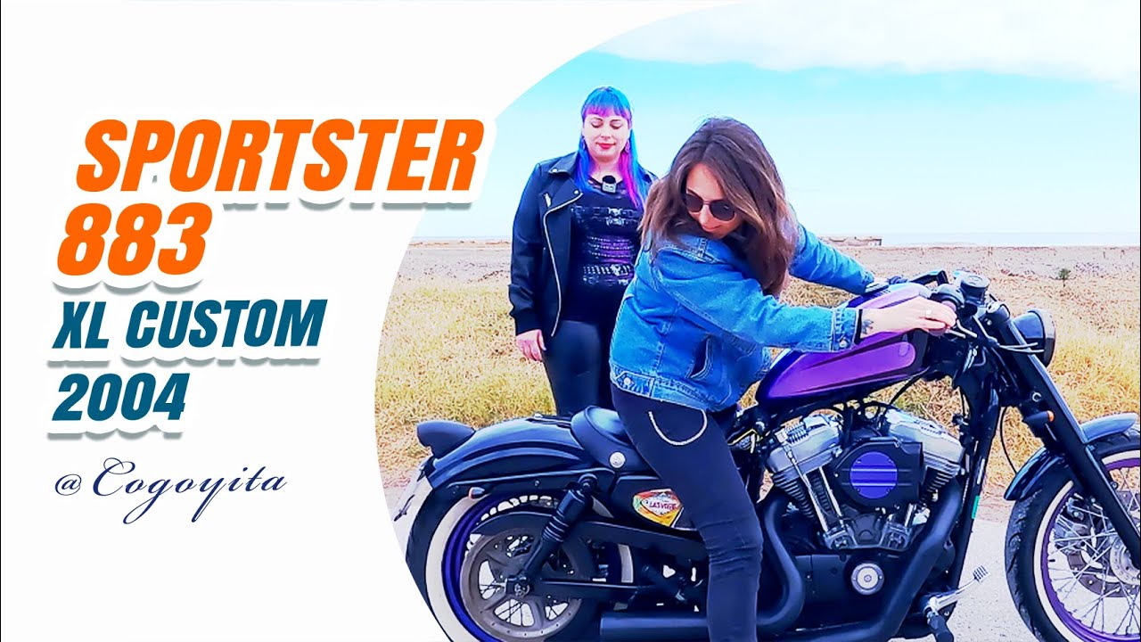 Esta Harley Davidson Sportster 883 XL Custom te va a encantar