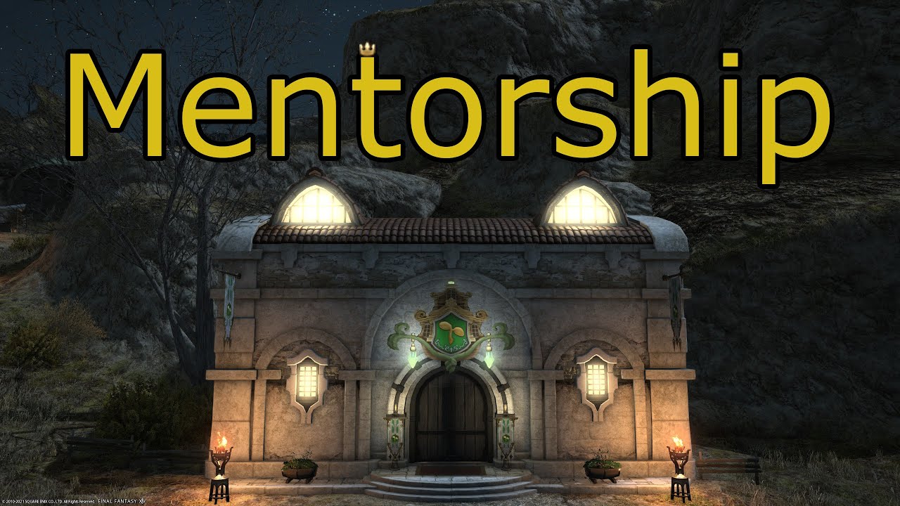 An Honest Discussion of the Mentor System