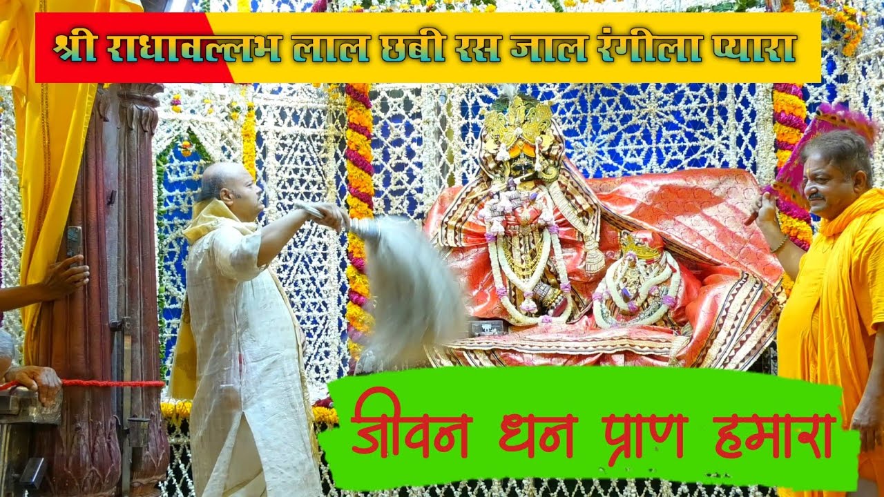 श्री राधावल्लभ लाल छबी रस जाल रंगीला प्याराजीवन धन प्राण हमारा / Shri Radhavallabh mandir Vrindavan