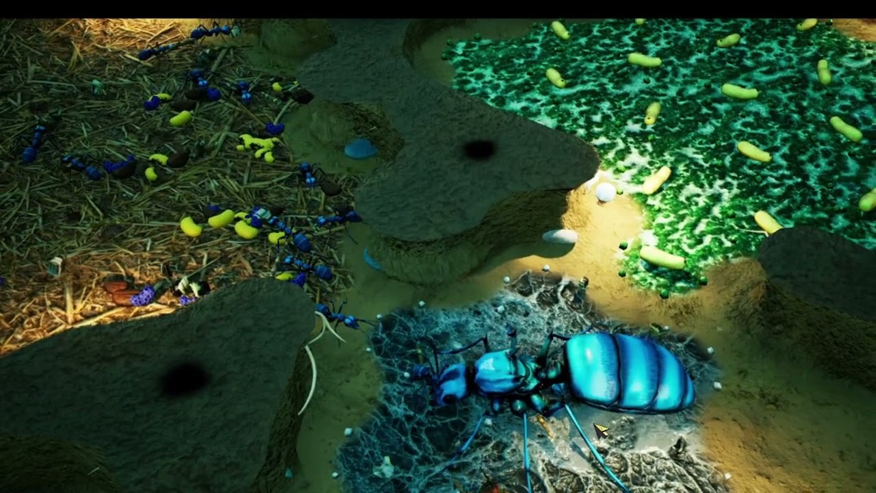 Empires of the Undergrowth Facing The Rufa colonlies