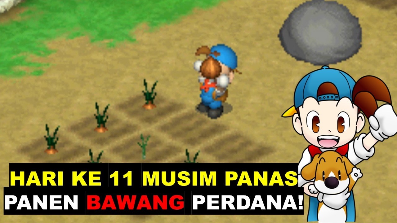 HARVEST MOON BACK TO NATURE HARI 11 SUMMER! PANEN BUAWANG WEY!!! DAPET MONEY BANYAK GA NIH??