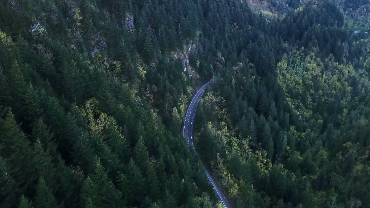 Route31