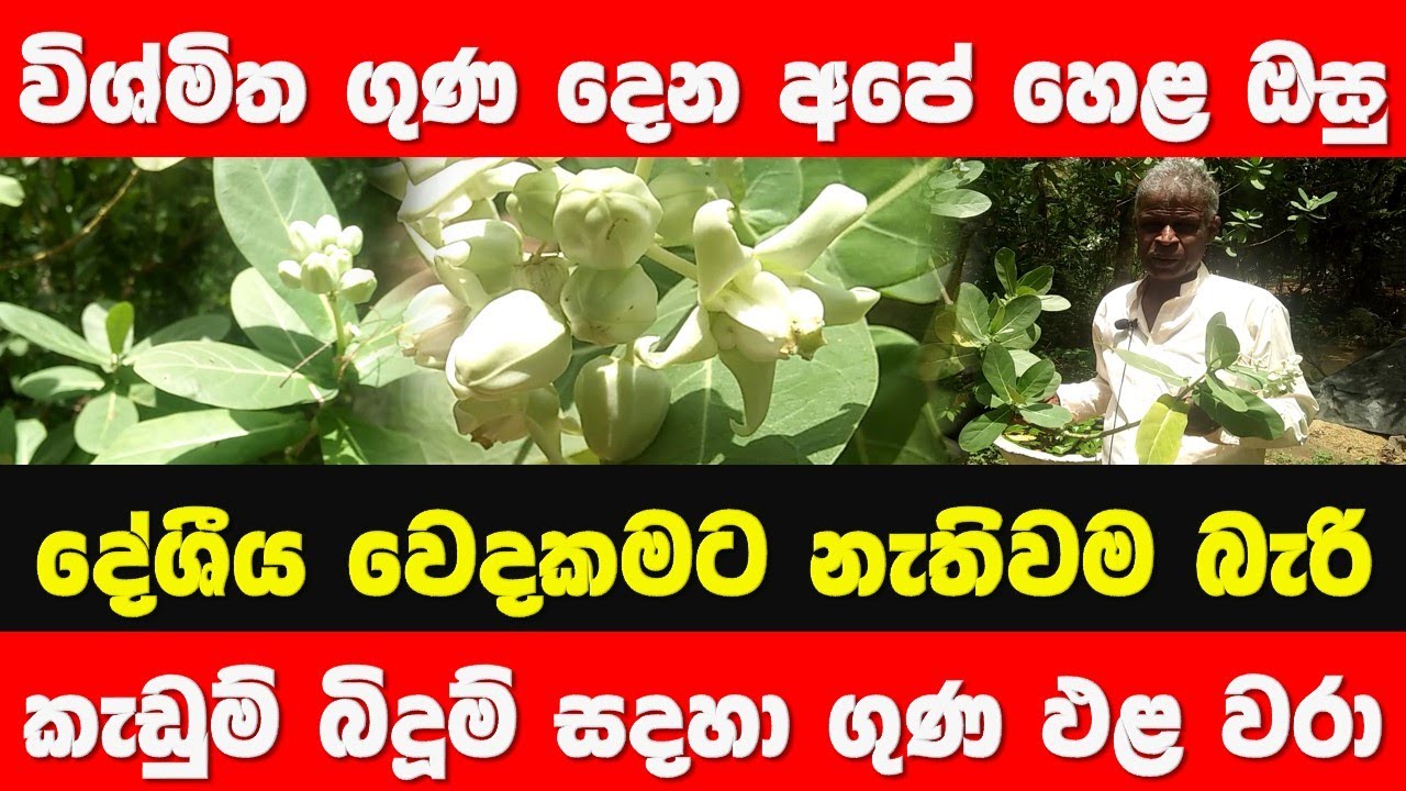 Sinhala Ath Beheth | Ela Wara | story eka