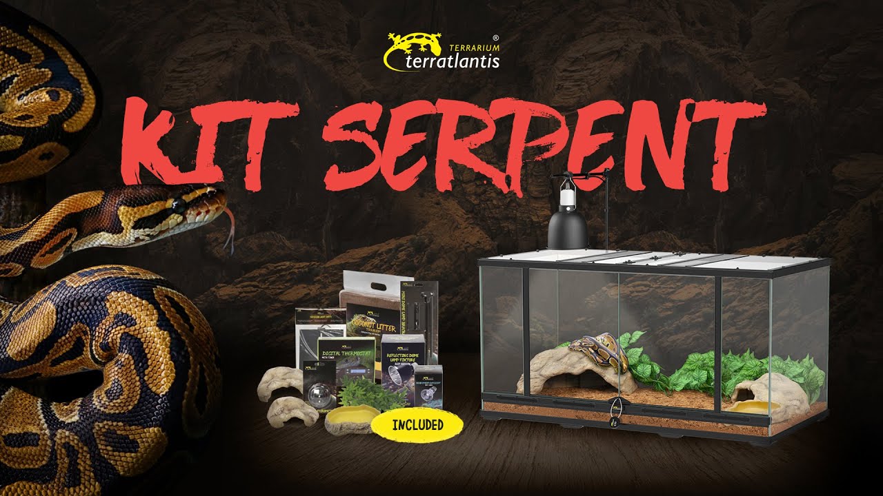 Unboxing KIT SERPENT - Terratlantis Terrarium (by Aquatlantis)