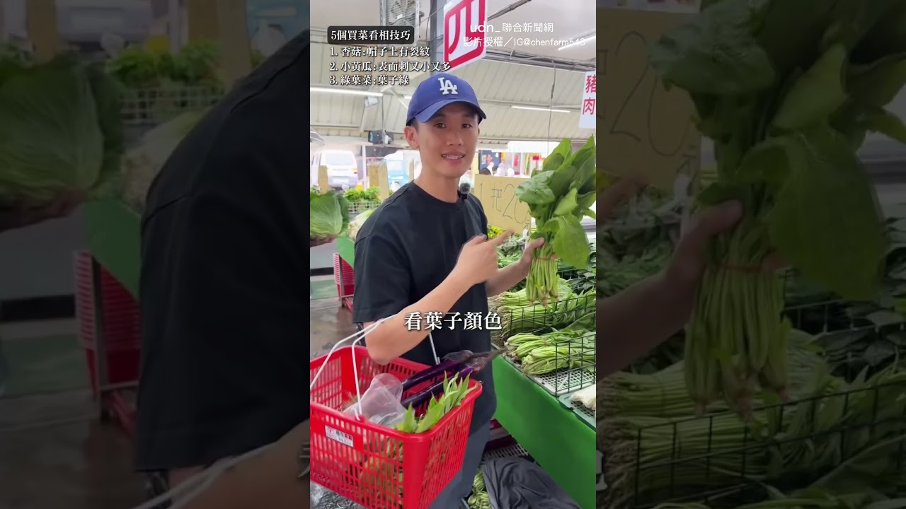 【學會了】初級大人都來學！他教挑菜5撇步超實用｜挑菜｜撇步