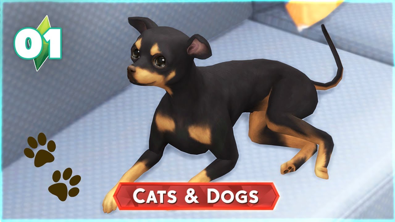 The Sims 4: Cats and Dogs | Ep.01: Creating my Dog and Vet Clinic | Marielitai Gaming